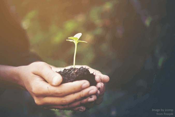 Holding Seedling