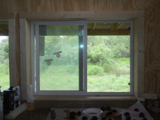 Kitchen Window Sill